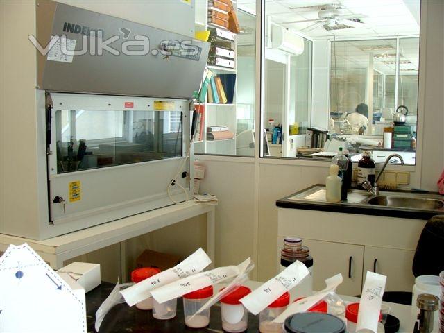 Laboratorio de microbiologa