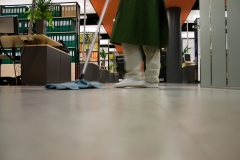 Limpieza de empresas