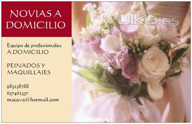 MAQUILLAJES Y RECOGIDOS A DOMICILIO  NOVIAS ASTURIAS