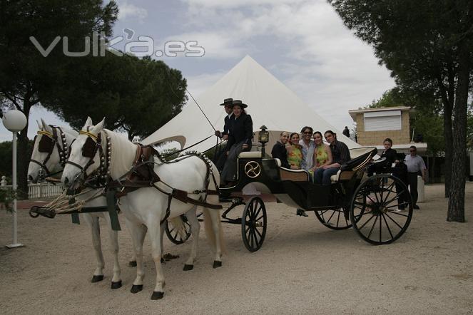 Coche de caballos para bodas en finca la Carpa de Chapineria