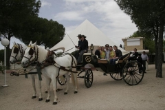 Coche de caballos para bodas en finca la carpa de chapineria