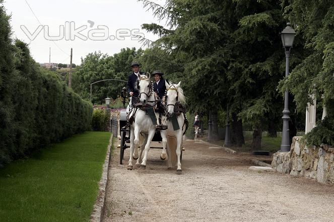 Entrada coche de caballos en finca LA CARPA DE CHAPINERIA