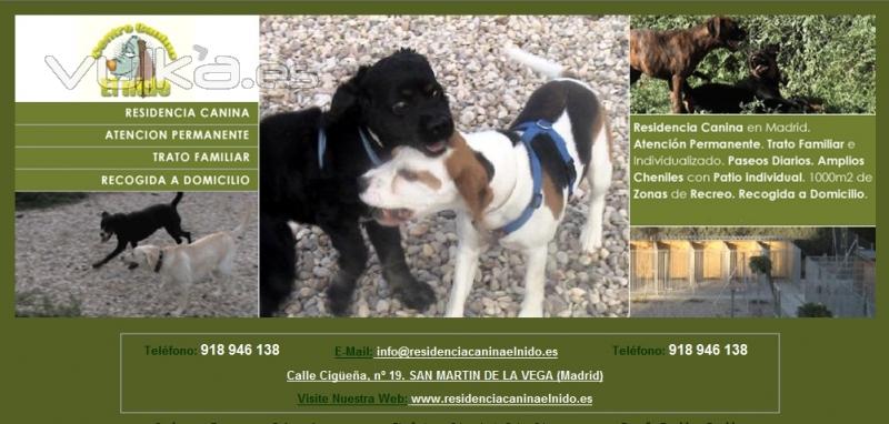 cartel publicitario residencia canina el nido