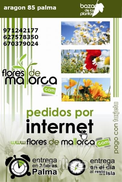 FLORES DE MALLORCA