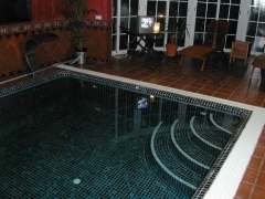 Construccion piscina climatizada  dentro de una vivienda