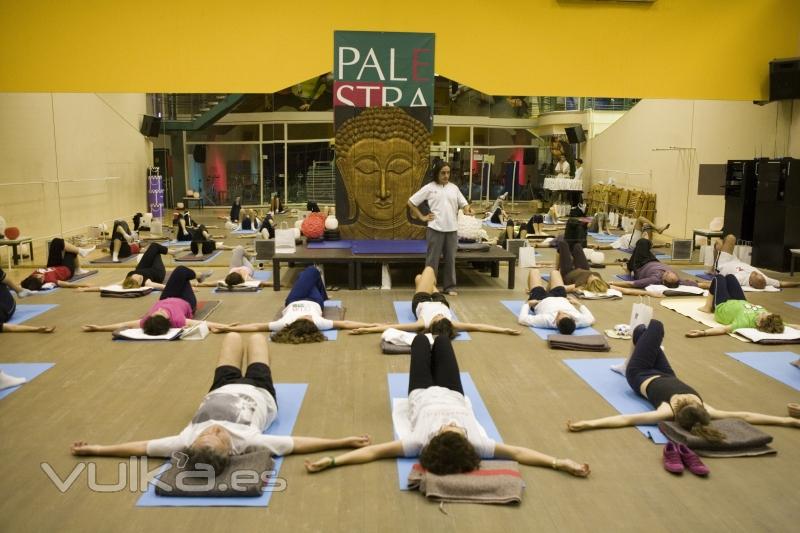 Gimnasio Palestra