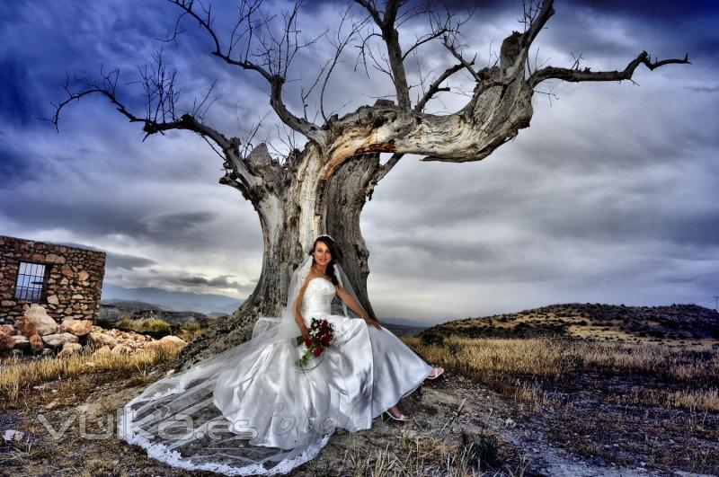 Bodas en el desierto almeriense, escenarios cinematogrficos