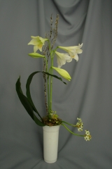 Exclusivo arreglo floral compuesto por lilium longiflorum, aspidistra y ornitogalum.