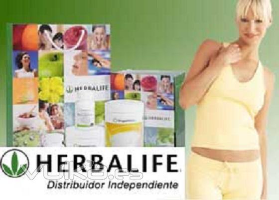 Distribuidor I. Herbalife. Servicio Toda España 24/48 h. Siente la Diferencia