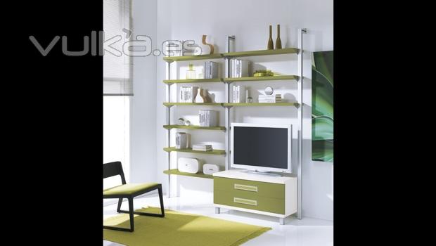 Estanteria color verde con mueble de cajones para TV