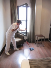 Aecetia - servicios del limpieza del hogar