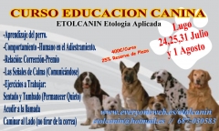 Etolcanin educacin canina,adiestramiento y etologia aplicada - foto 6