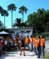 Club deportivo bergamonte - padel, tenis, piscina y gym