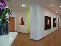 Galeria de arte en el interior de la clinica dental coimar