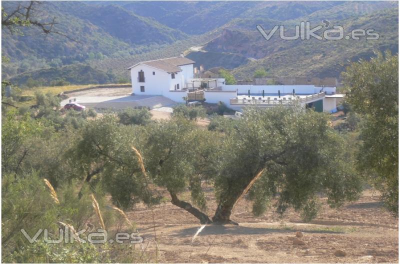 Vista general del alojamiento cortijo rural en Loja, Granada.