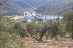 Vista general del alojamiento cortijo rural en Loja, Granada.