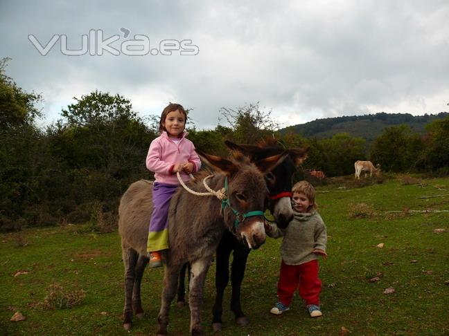 Agroturismo Mari Cruz