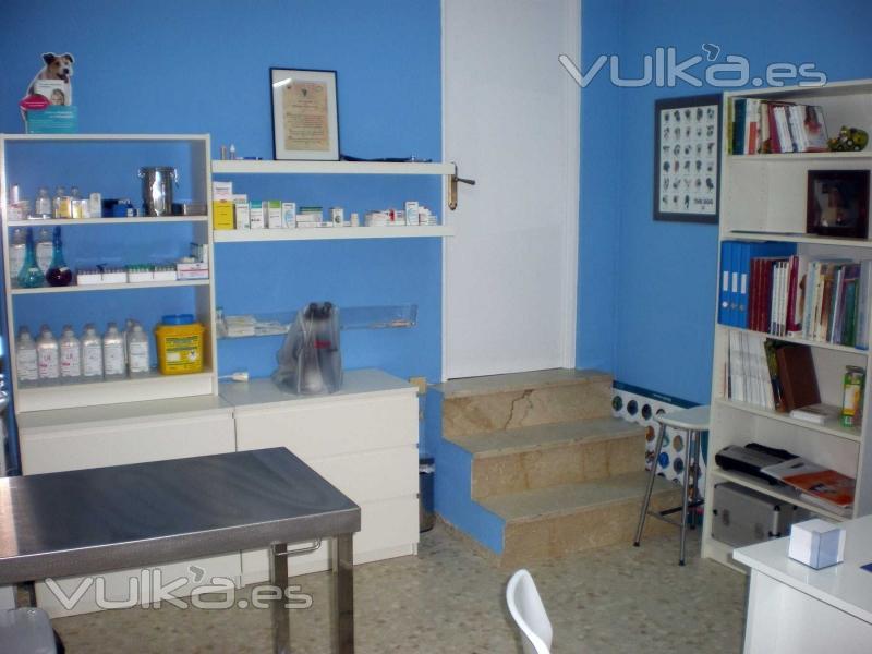 CENTRO VETERINARIO VITAL PETS