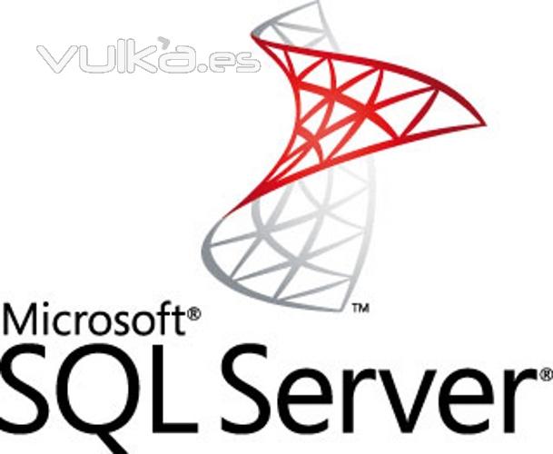 ISMO ERP funciona sobre SQL Server