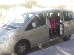 Taxicarmona vehiculo familiar---excursiones para grupos