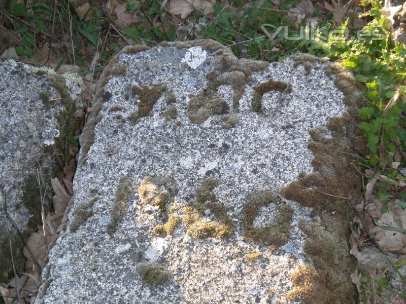 Potro de herrar sin restaurar construido por Elias Merino (Morales) hijo de Florencio Merino dos generaciones atras.