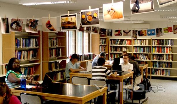 Los estudiantes de nuestro campus trabajando en la biblioteca de la  universidad