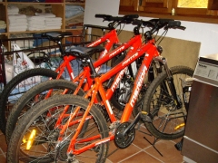 Bicicletas de alquiler