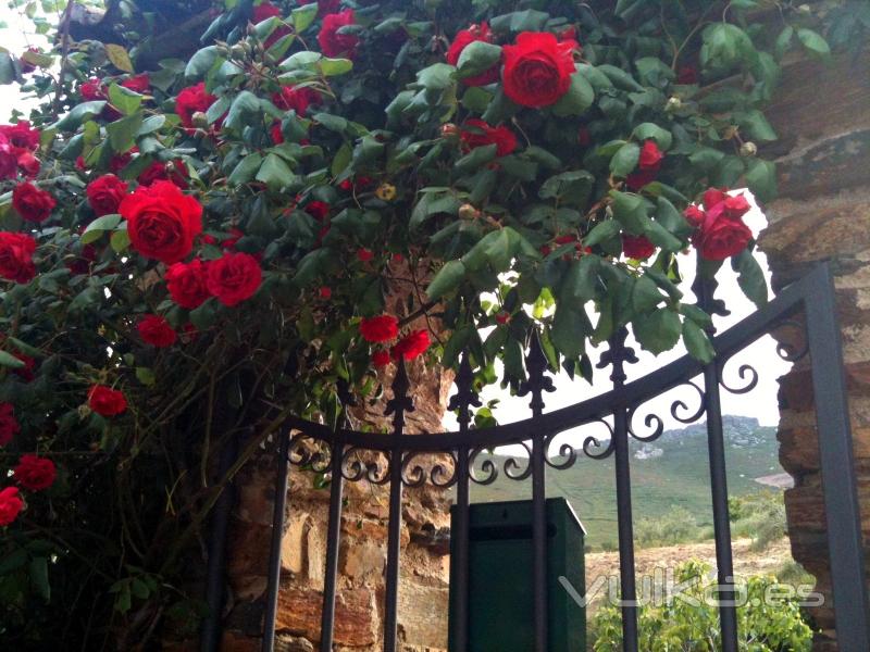 Entrada Finca El JIniebro