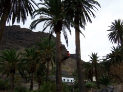 Foto 19 hoteles en Santa Cruz de Tenerife - Hostal, Pensin  Casas Bernardo