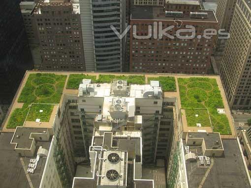 Investigadores de la Universidad de Columbia han demostrado que una capa de tierra con plantas puede reducir la ...