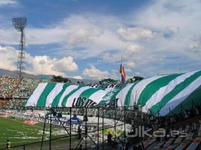 Banderas deportivas de todos las medidas