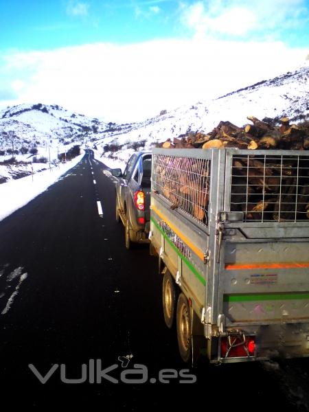 Nuestro servicio de transporte