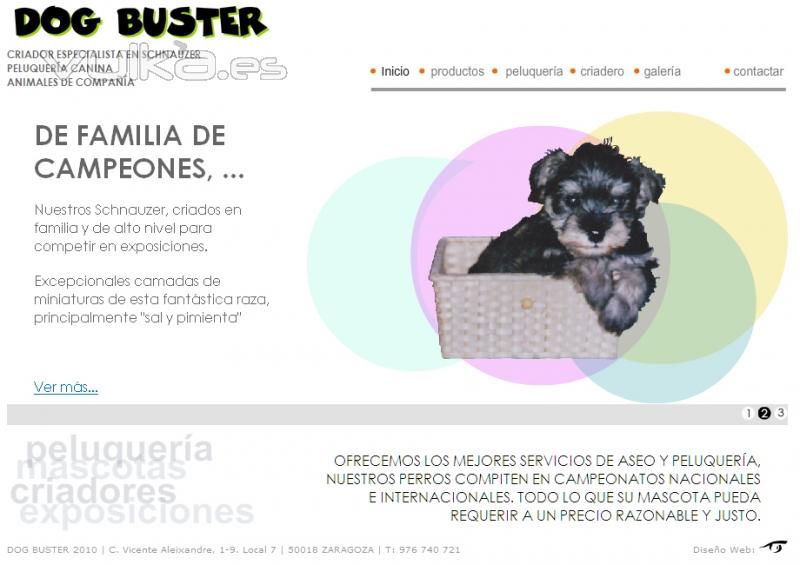Diseo Web de peluquera canina y criador de Schnauzer miniatura sal y pimienta. dogbuster.es