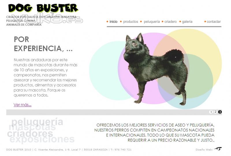 Diseo Web de peluquera canina y criador de Schnauzer miniatura sal y pimienta. dogbuster.es