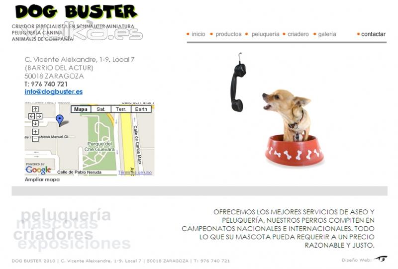 Diseo Web de peluquera canina y criador de Schnauzer miniatura sal y pimienta. dogbuster.es