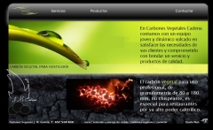 Diseo web de empresa suministradora de carbn vegetal a profesionales. carbonesvegetales.es
