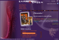 Diseo web de tienda de artesana tnica www.danadagda.es