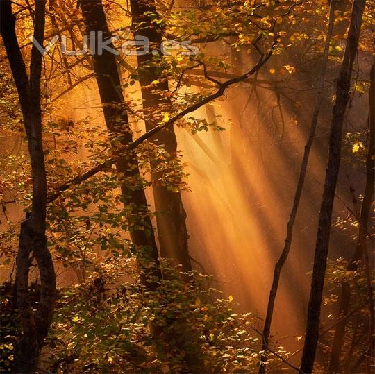 Fotografas con la luz como protagonista en el blog de verescreer.es