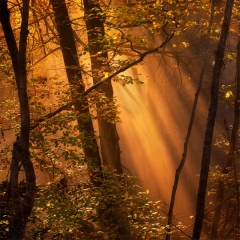 Fotografias con la luz como protagonista en el blog de verescreeres