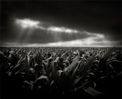 Fotografias con la luz como protagonista en el blog de verescreeres