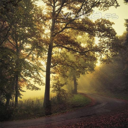 Fotografas con la luz como protagonista en el blog de verescreer.es