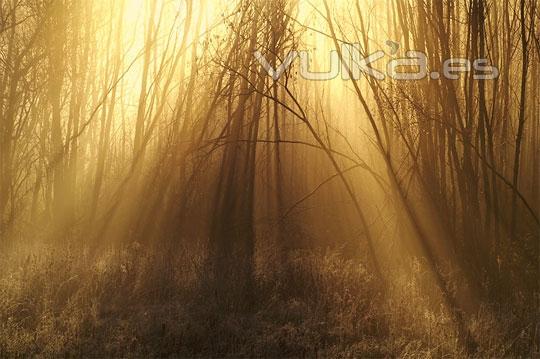 Fotografas con la luz como protagonista en el blog de verescreer.es