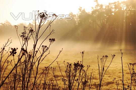 Fotografas con la luz como protagonista en el blog de verescreer.es