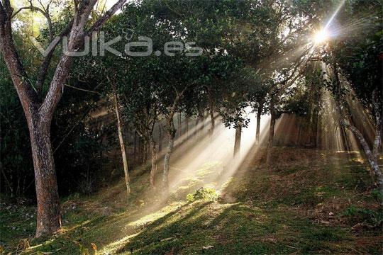 Fotografías con la luz como protagonista en el blog de verescreer.es