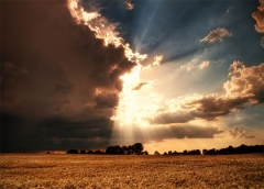 Fotografias con la luz como protagonista en el blog de verescreeres