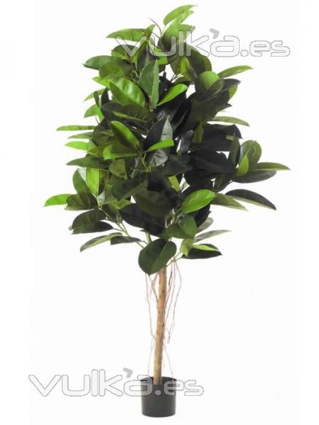 ficus artificiales de calidad. oasisdecor.com Ficus rubber artificial