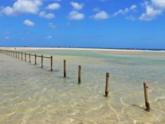 Playa de sotavento en fuerteventura. aqu se celebran los mundiales de kitesurf