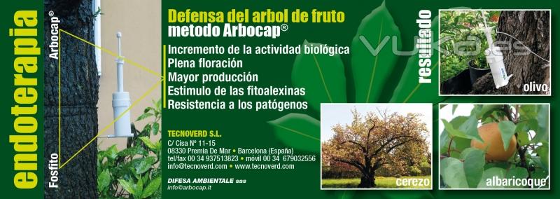 inyecciones en los arboles endoterapia