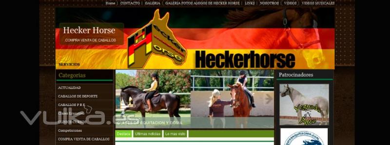 Web de venta de caballos online www.heckerhorse.com