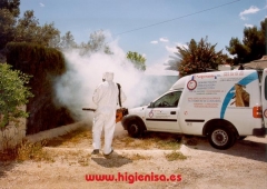Alicante fumigacion de jardines, avispas